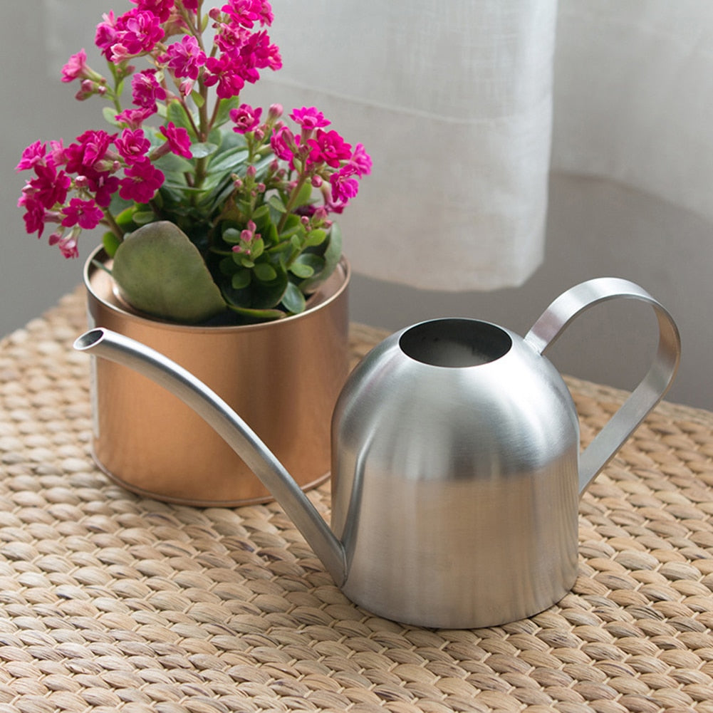 Watering Can for the plant babies