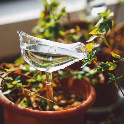 Self Watering for the plant babies