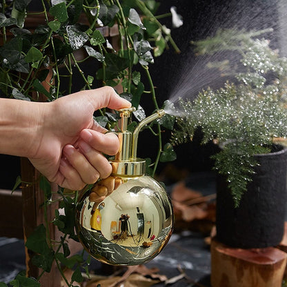 Small Watering Can for the plant babies