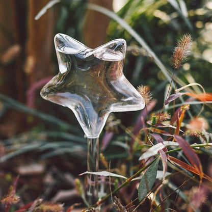 Self Watering for the plant babies