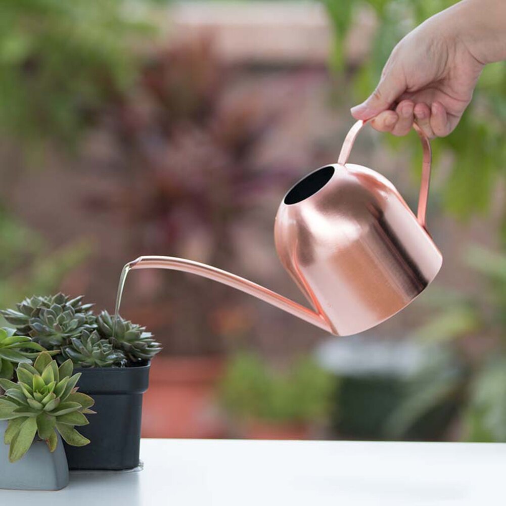 Watering Can for the plant babies