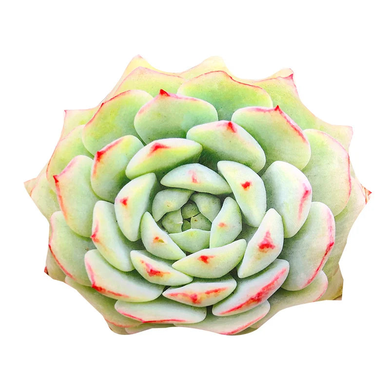 3D Printed Simulated Succulent Plant Cactus Plush