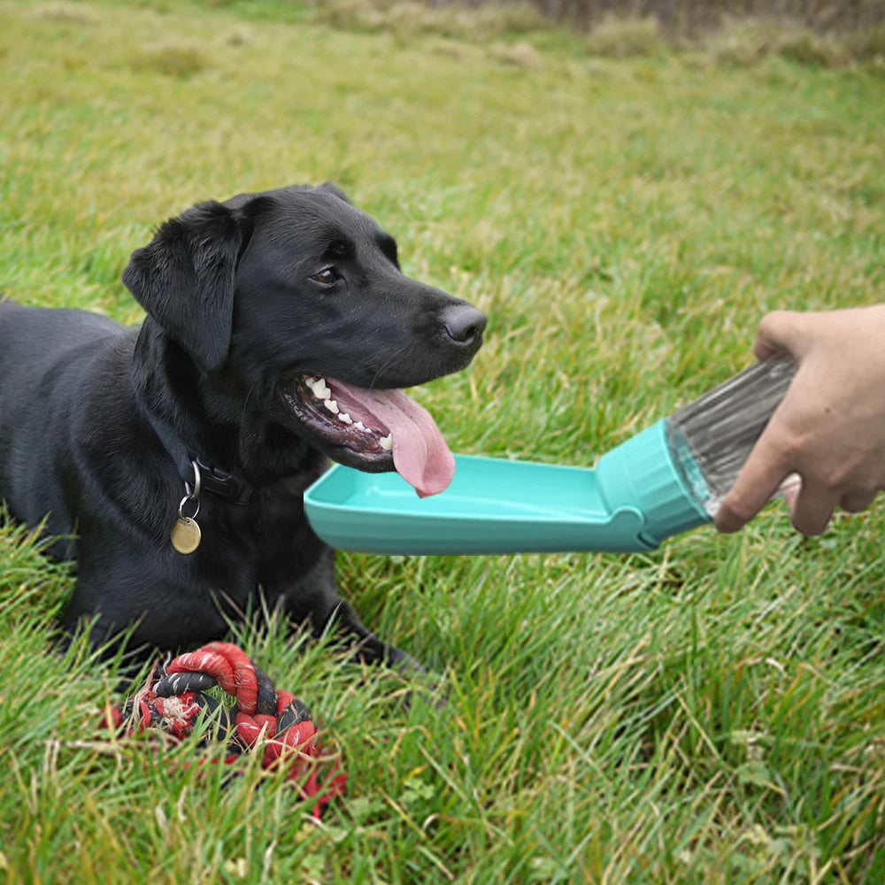 Portable Dog Water Dispenser For Small Large Dogs