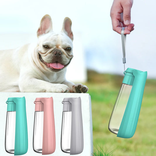 Portable Dog Water Dispenser For Small Large Dogs